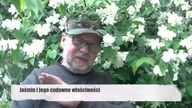 Jaśmin i jego właściwości - Adolf Kudliński