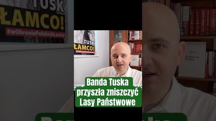 Banda Tuska przyszła zniszczyć Lasy Państwowe!