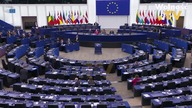 BRAUN WSTAWIŁ SIĘ ZA ORBANEM I WĘGRAMI W EUROPARLAMENCIE! SCHEURING-WIELGUS WŚCIEKŁA!