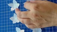 Małe białe kwiatki z plastikowej butelki  DIY #shorts #plastik #kwiat #butelka #recykling #pomysl