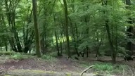 Groźny wypadek Gas Gas GoPro