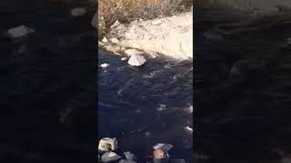 WARSZAWA - ŚCIEK A WG.  WIOŚ -CZYSTA WODA !!