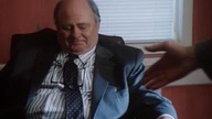 Piranha. 1995. DVDRip. XviD Lektor PL