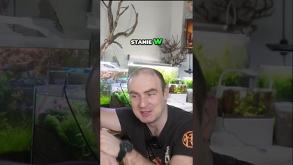 Ciemny Start w Akwarium  Jak to Działa?  #akwarium #akwarystyka #ciemnyStart