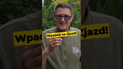 Zjazd Widzów Idź Pod Prąd już 21 czerwca!Zapisz się! Link w komentarzu #ipptv #ZjazdWidzów2025