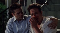 Zimnokrwisty. zab&oacute;jca. 1995. Lektor.pl