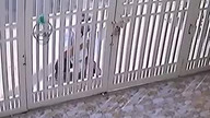 Złodziej łamie nogę próbując wyważyć bramę