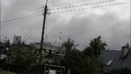 Młode bociany robią loty próbne