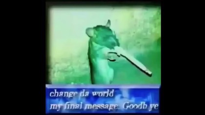 My channel is getting terminated