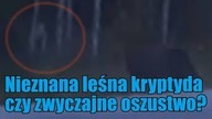 Nieznana kryptyda została sfilmowana w Kanadzie!