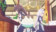 Nekopara Odcinek 11 [Napisy PL]