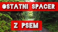 TO JUŻ KONIEC..OSTATNI SPACER Z PSEM