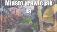 Miasto prawie jak las.  W jeden dzień posadzili 100 drzew