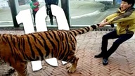 10 najgłupszych śmierci - nagrody DARWINA 12 [TOPOWA DYCHA]