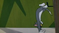 145.  Tom i Jerry - Przygoda w cyrku[1]