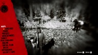 Red Dead Redemption 2 Online 