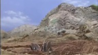 Godzilla kontra Ultra potwory 5