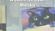 Świdnik: Malarstwo sztalugowe (foto)