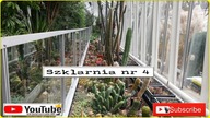 353-UW- Cz. 7- Kaktusy, sukulenty.  Szklarnie Ogrodu.  Ogród Botaniczny Uniwersytetu Warszawskiego