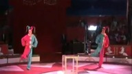Two Clowns In Tiny Box