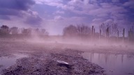 Wyścig Wrak&oacute;w