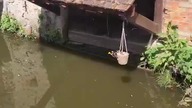Wiosna pod Paryżem, Francja