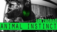 Jak zagrać #169: Animal Instinct - The Cranberries | PTA: 2/6 | SoundFarm