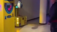SENTINO vs BOXER