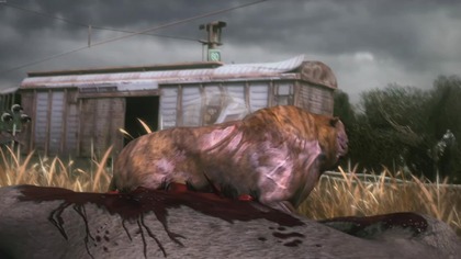 STALKER Clear Sky Enhanced Edition - Full Game Walkthrough No Commentary 1440p