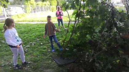 wspaniały Andrzej misiarz tata buduje z dziećmi szałas pokazując im wiele ciekawych rzeczy