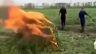 Ruski oficer podpala stos z Ganją