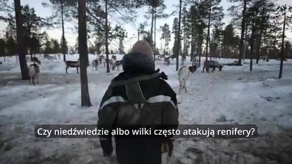 Europa o nich zapomniała  ostatni rdzenny lud kontynentu