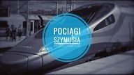 Duuuuża gąsienica - Trociniarka czerwica