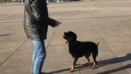Taniec z Frelką podczas WOŚP.  Tak dla zabawy! :)