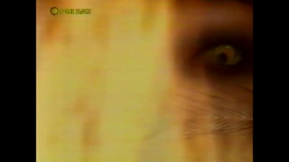 Herkules... Serial Polsat.  VID-1742027544649