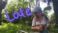 Late (original ukulele song)