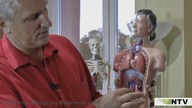 Presentation Of Manual Diagnosis.  Aliaksandr Haretski.  The Academy of Regenerative Medicine.