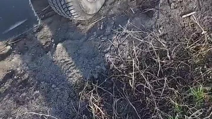 SZYMON 27 (Krzysztof, Bydgoszcz)