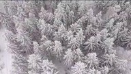 Kronika Pucharu Świata - Willingen (02. 02. 2026)
