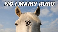 Co zrobić gdy koń się skaleczy?