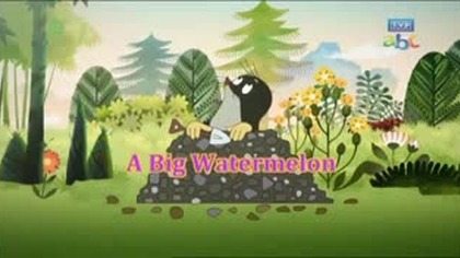 013 - KRECIK I PANDA ogromny arbuz