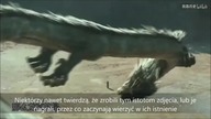 Uwieczniono dowody na istnienie smoków (seria Prawdziwe Duchy)  napisy PL