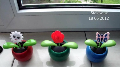 Tańczący kwiatek FLIP FLAP solarny + adenium pustynna róża