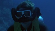 Tentacoli. 1977.pl. DVDRip. XviD-LMR