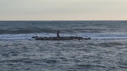 ROMA 2025 film 25 Ostia