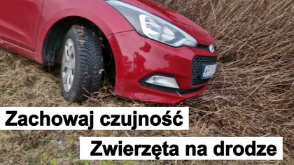 JAK ZNALEŹLIŚMY SIĘ W ROWIE.