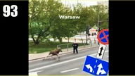 Pościg ulicami Warszawy #Film Widza #93