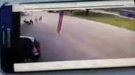 To się nazywa ogromny pech +18