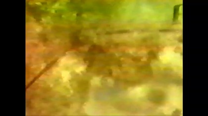 Ogniste Ptaki..VID-1712992064192