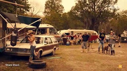 Trailer. Park. Shark. 2017.pl. HDTV. XviD-DiDi